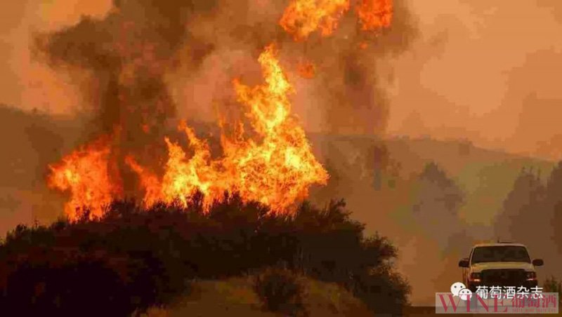 美国加州遭遇史上最大规模山火