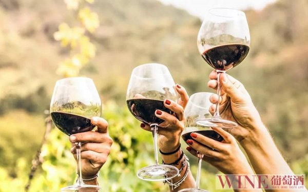 有机葡萄酒全球销量在2022年将达10亿瓶