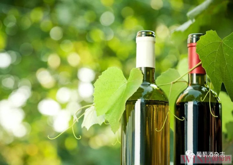 意大利有机葡萄酒或将减产涨价
