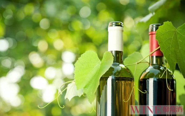 意大利有机葡萄酒或将减产涨价