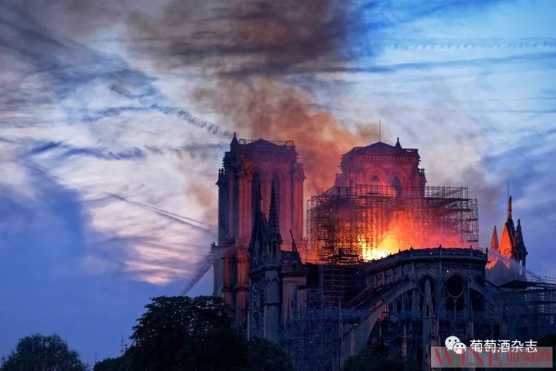法国顶级名庄拥有者为巴黎圣母院捐赠数亿欧元