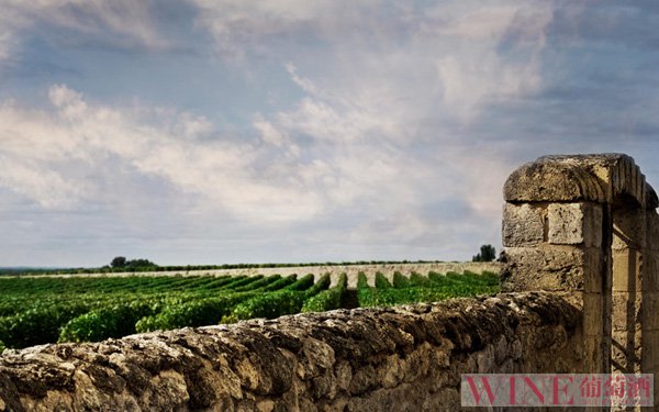 勃艮第葡萄酒：风云变幻两千年