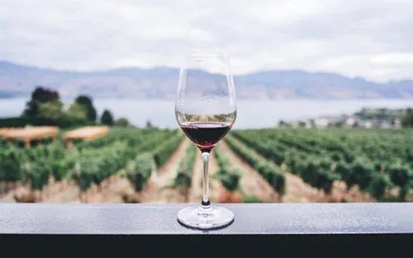 <b>2021年全球新晋3位葡萄酒大师，截止目前葡萄酒大师总计419人</b>