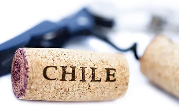 中国成智利葡萄酒第一出口国