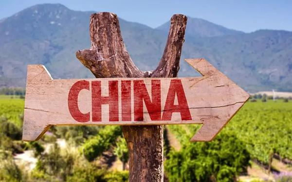 中国产区游，走到了哪一步？