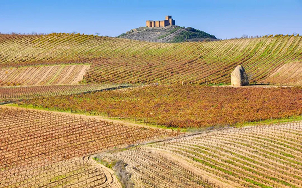 西班牙葡萄酒新趋势：以可持续发展理念打造精品葡萄酒