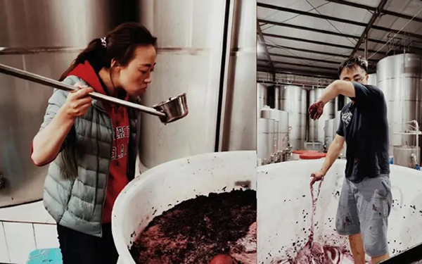 “离经叛道”的中国独立酿酒师，太敢了