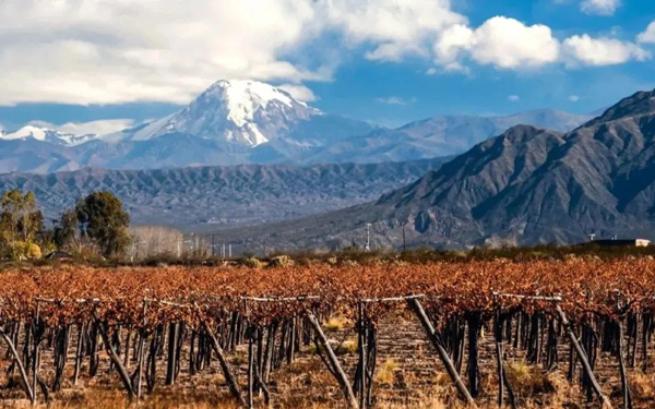 <b>智利葡萄酒新趋势，不同产区有何变化？</b>